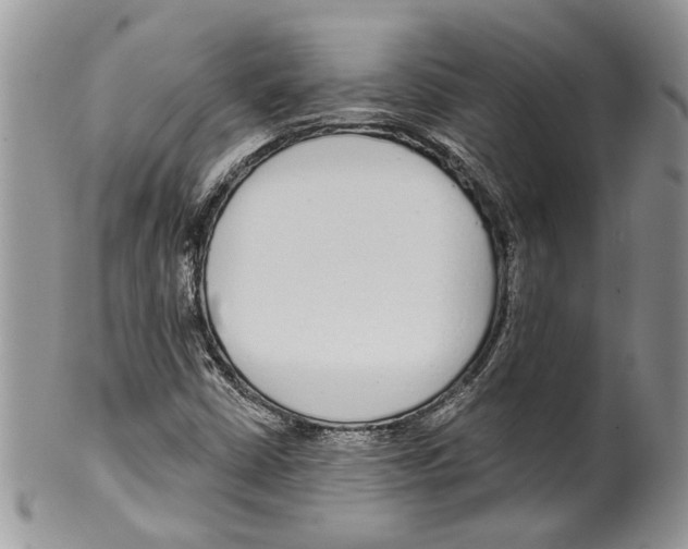 X0000099541402200806131139