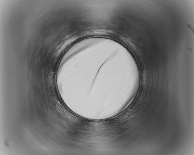 X0000099541404200806131139