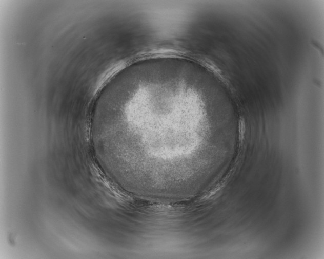 X0000099541405200806131139