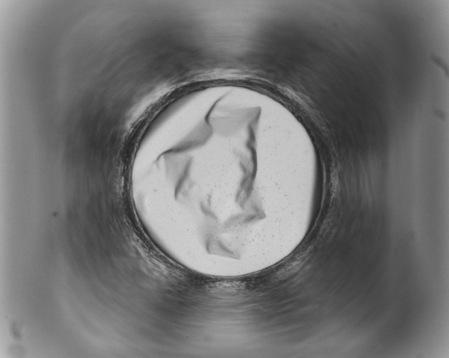 X0000099541406200806131139