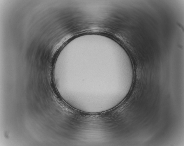 X0000099541410200806131139