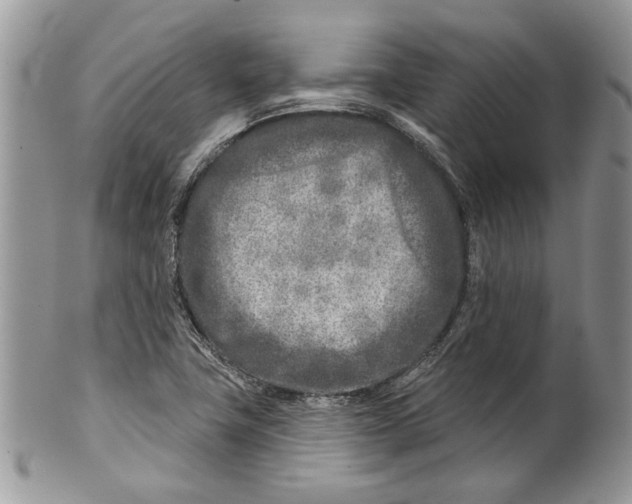 X0000099541411200806131139