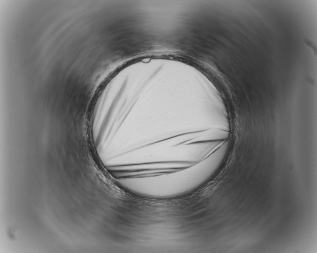 X0000099541412200806131139