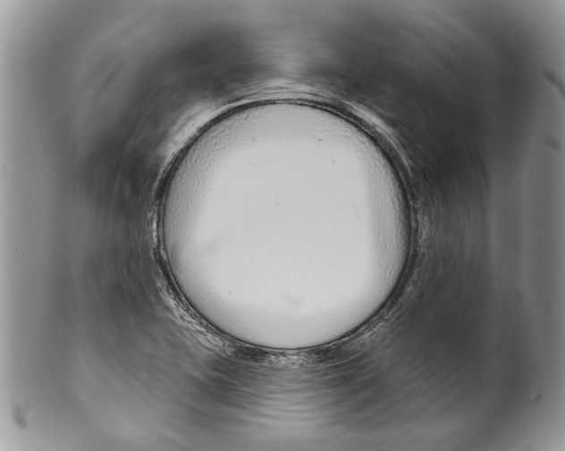 X0000099541415200806131139