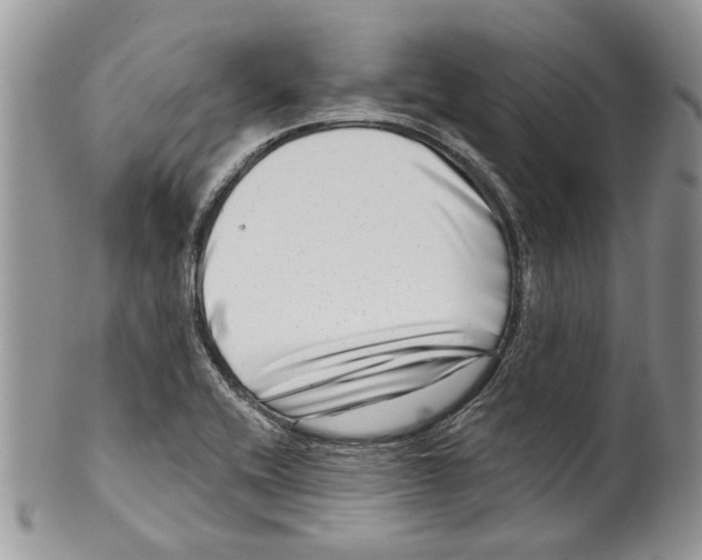 X0000099541416200806131139