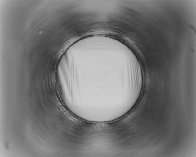 X0000099541417200806131139