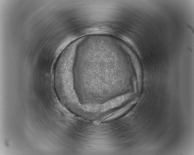 X0000099541419200806131139