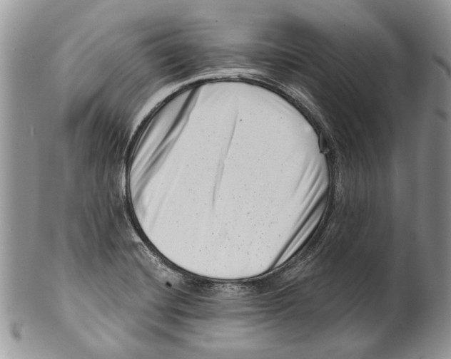 X0000099541420200806131139