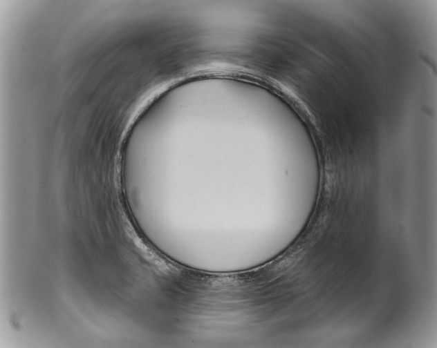 X0000099541421200806131139