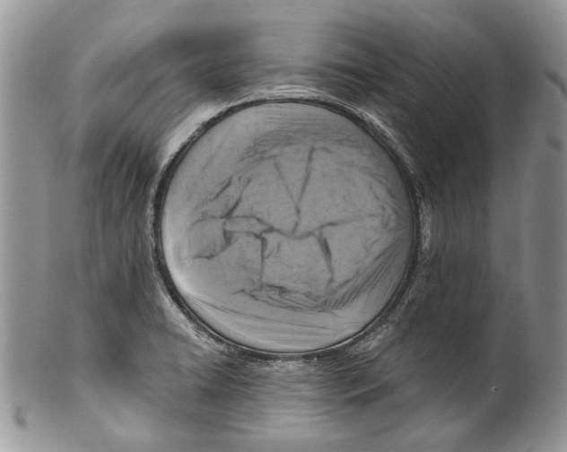 X0000099541422200806131139