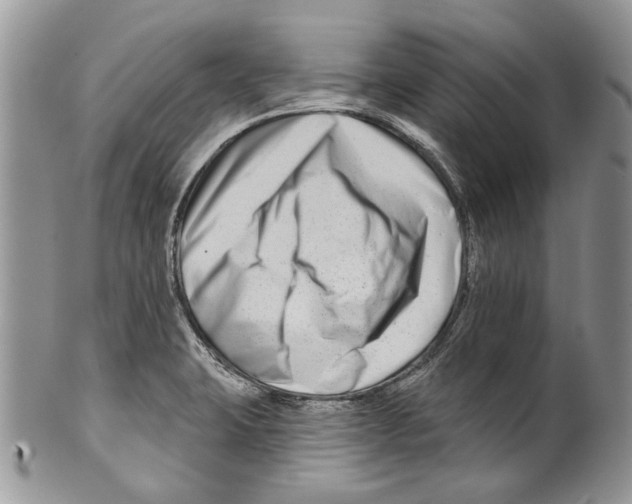 X0000099541423200806131139