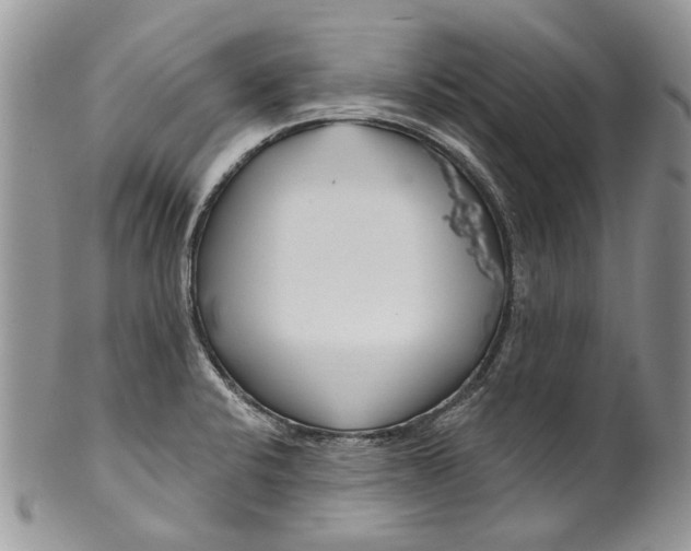 X0000099541424200806131139