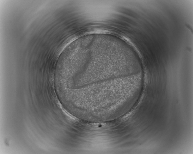 X0000099541425200806131139