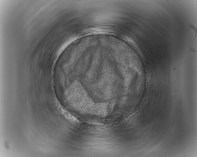 X0000099541427200806131139