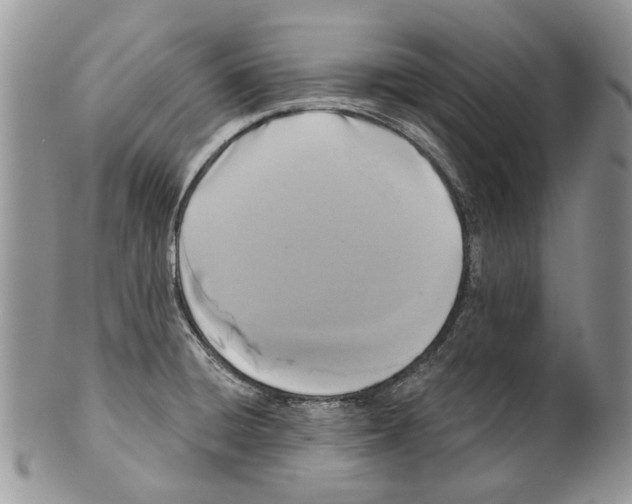 X0000099541428200806131139