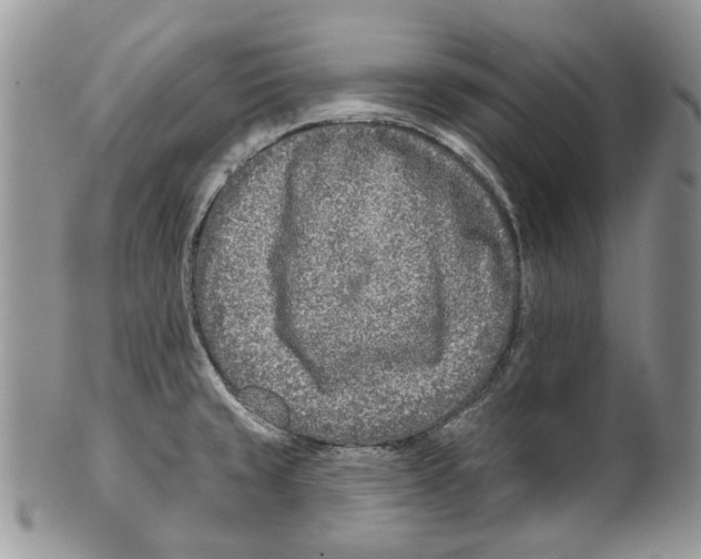 X0000099541429200806131139