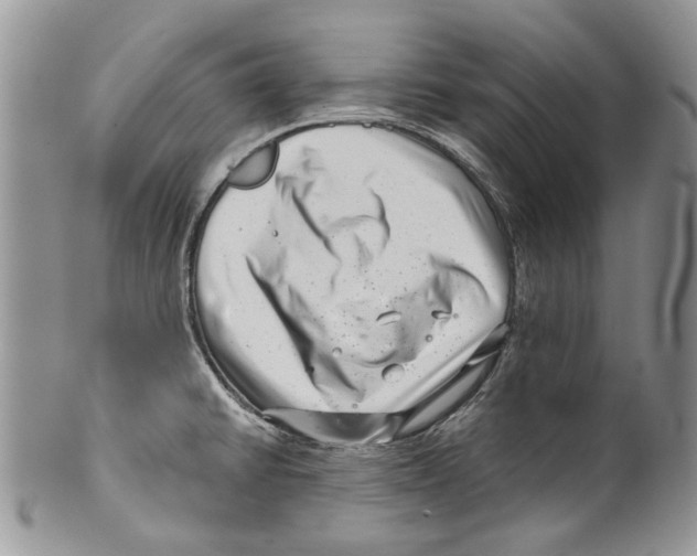 X0000099541430200806131139