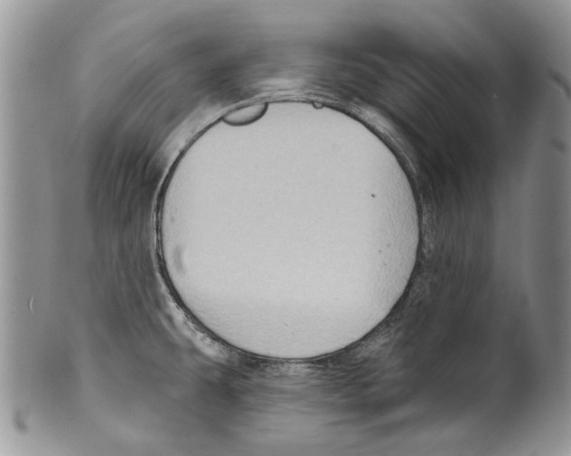 X0000099541431200806131139