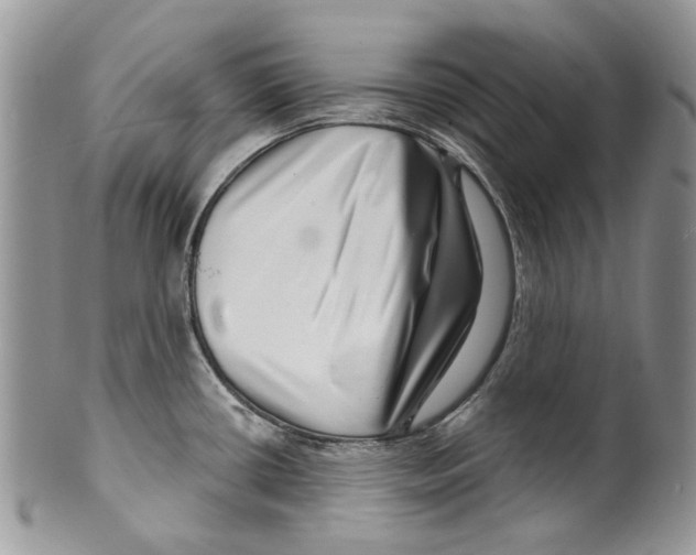 X0000099541434200806131139