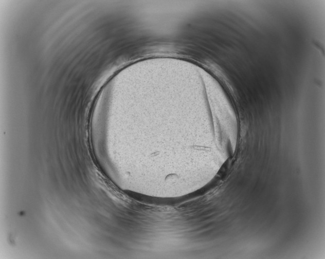 X0000099541435200806131139