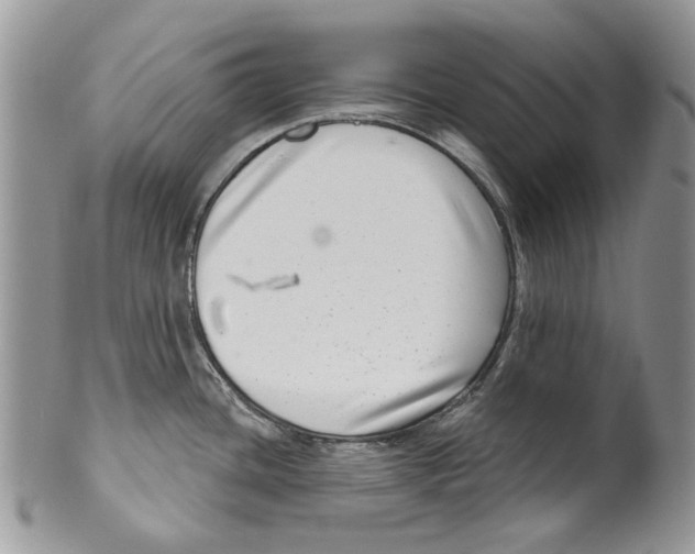 X0000099541436200806131139