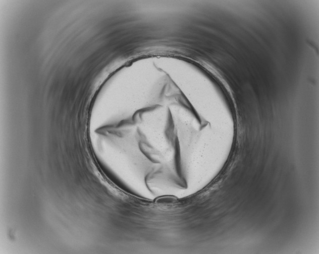 X0000099541437200806131139