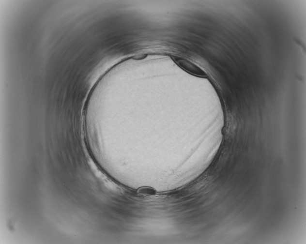 X0000099541439200806131139