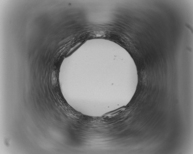 X0000099541442200806131139