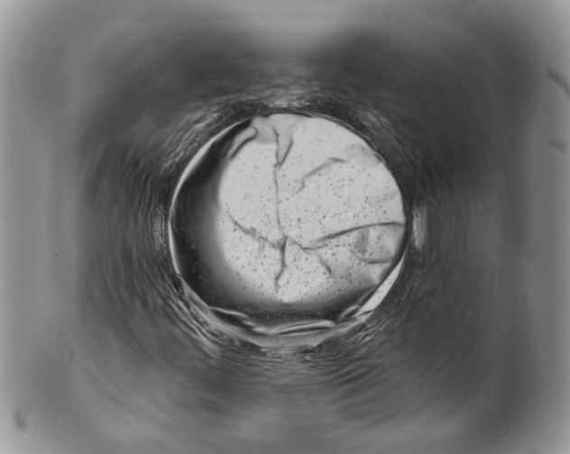 X0000099541444200806131139