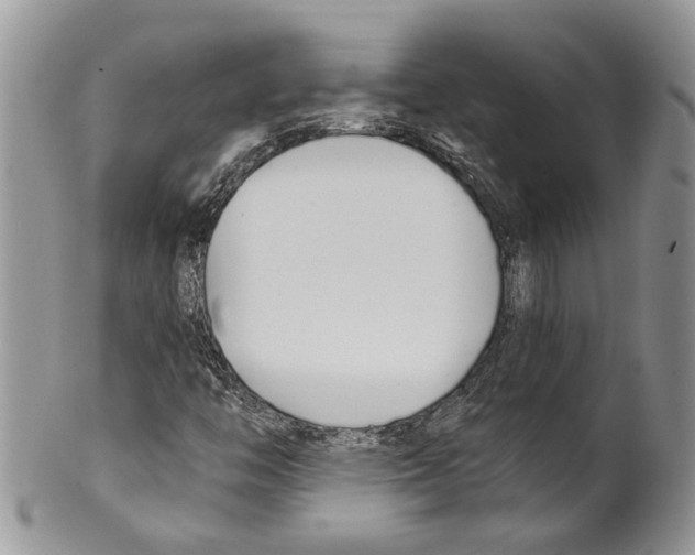 X0000099541446200806131139