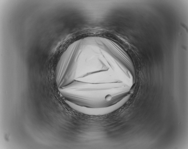 X0000099541447200806131139