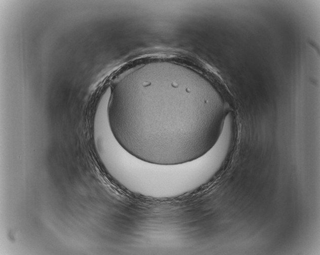 X0000099541448200806131139