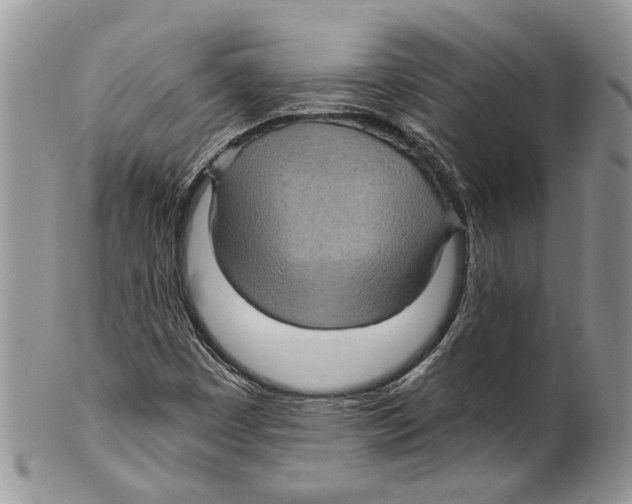 X0000099541449200806131139