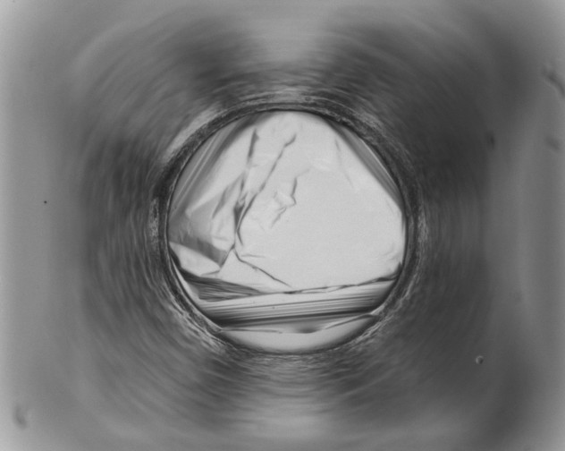 X0000099541450200806131139