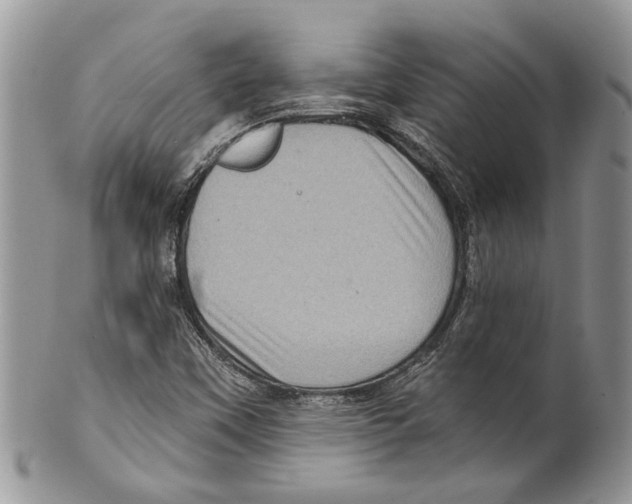 X0000099541451200806131138