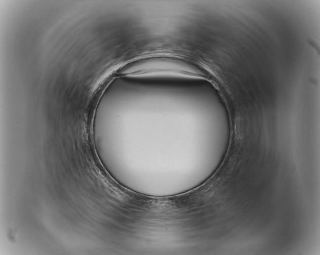 X0000099541452200806131138