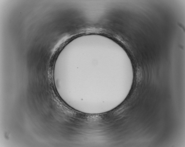 X0000099541454200806131138