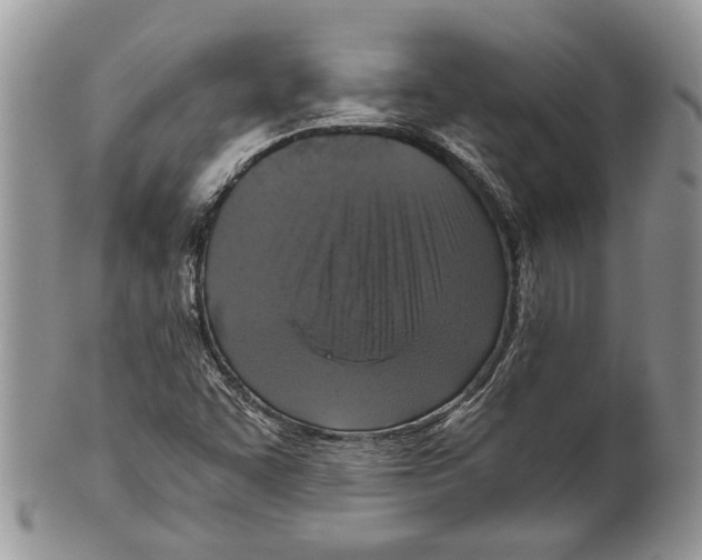 X0000099541455200806131138