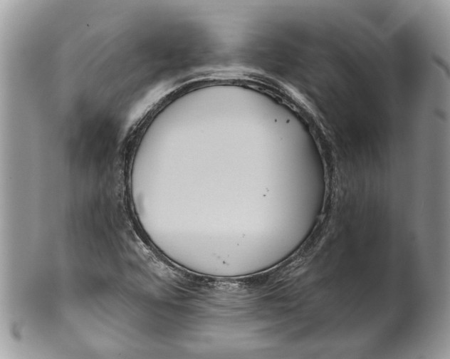 X0000099541456200806131138