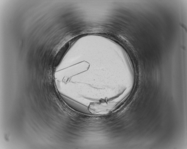 X0000099541457200806131138