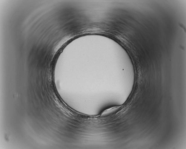 X0000099541458200806131138