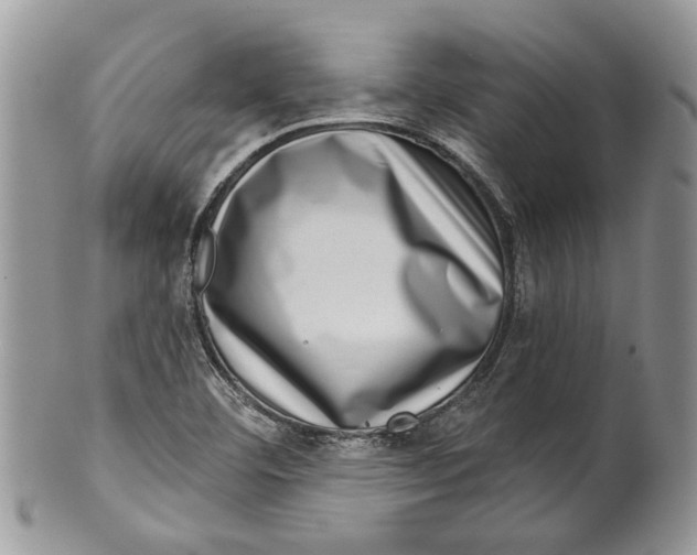 X0000099541460200806131138