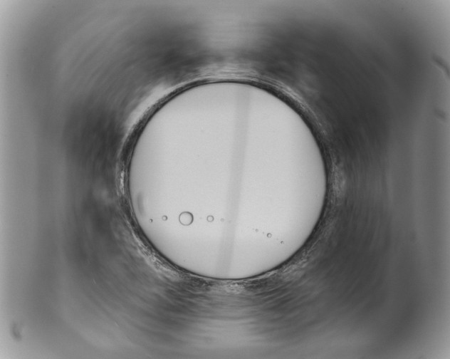 X0000099541462200806131138