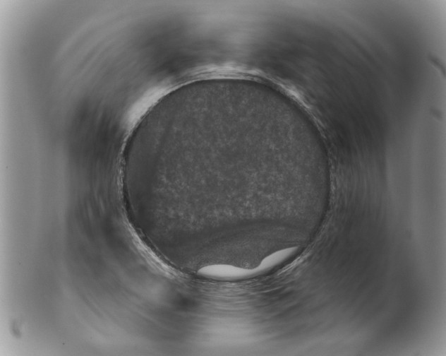 X0000099541463200806131138