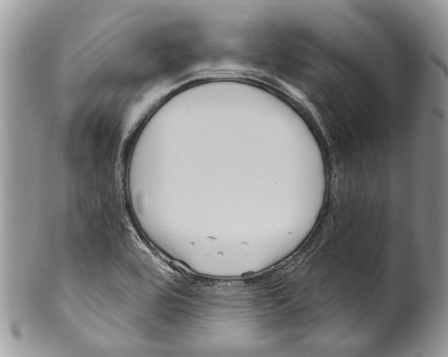 X0000099541464200806131138