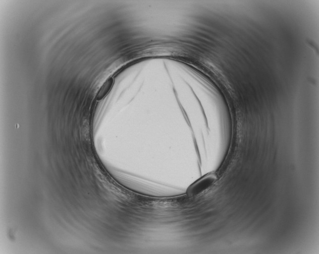 X0000099541465200806131138