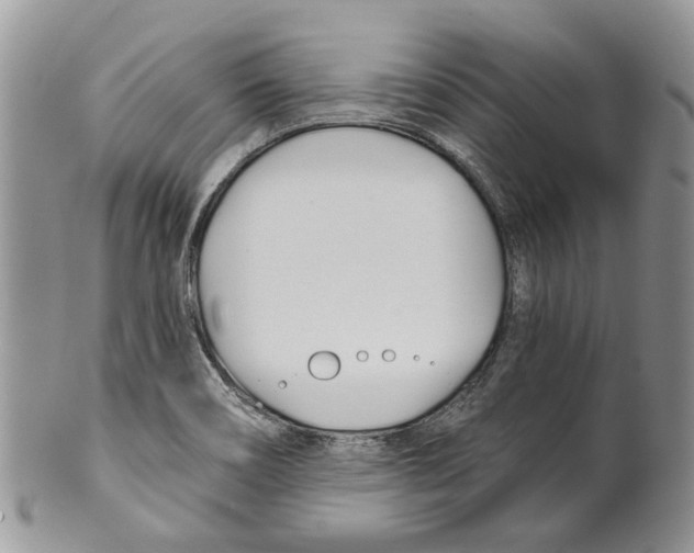 X0000099541466200806131138