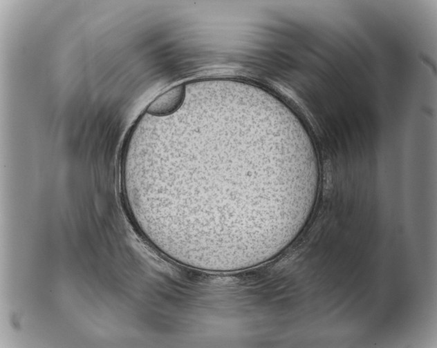 X0000099541467200806131138