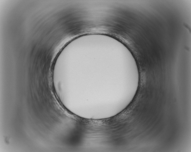 X0000099541470200806131138