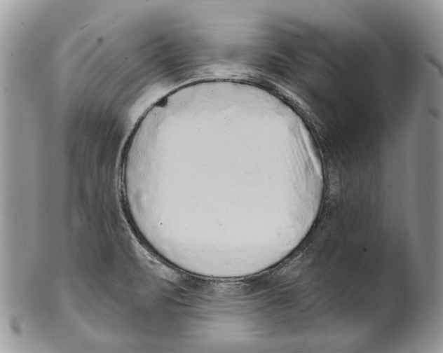 X0000099541471200806131138